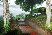 San Jorge de Tandayapa ecuador Hummingbird Sanctuary bird watching